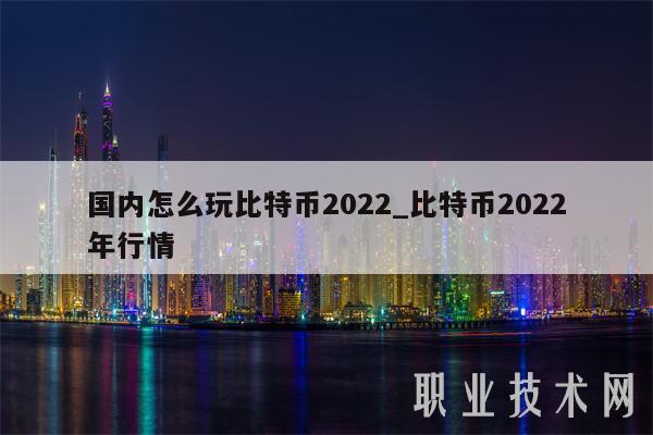 国内怎么玩比特币2022_比特币2022年行情-第1张图片-交易所